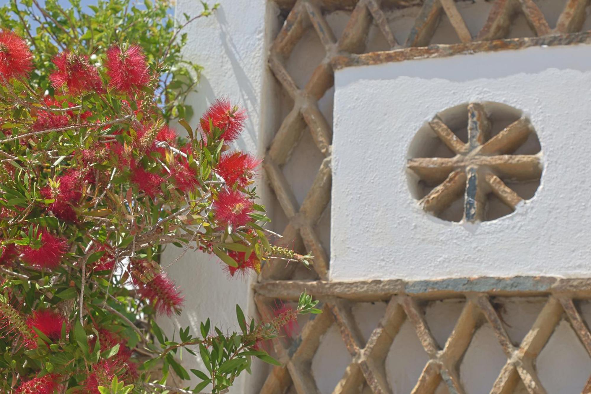 Athos Studios Tinos ภายนอก รูปภาพ